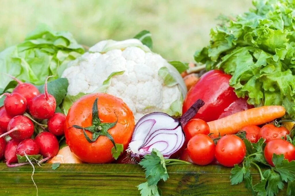 Two vegetables. Овощные культуры. Овощи в саду. Овощи на грядке. Полезные овощи с огорода.
