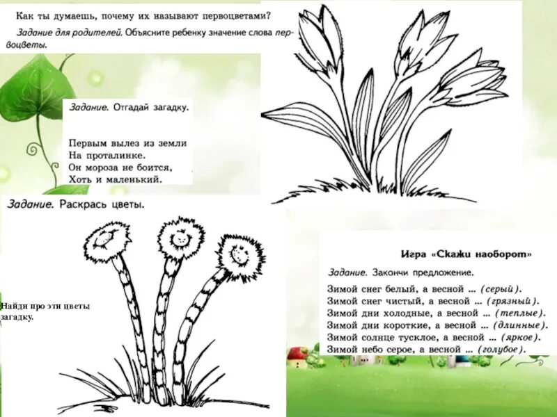 Загадки про цветы для дошкольников. Загадки про цветы для 1 класса. Загадки о цветах для детей. Загадки о цветах средняя группа. Загадки о цветах для детей 4-5.