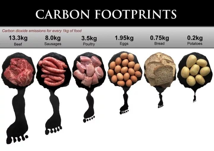 Углеродный след. Углеродный след продукции. Углеродный след продуктов питания. Углеродный след мяса.