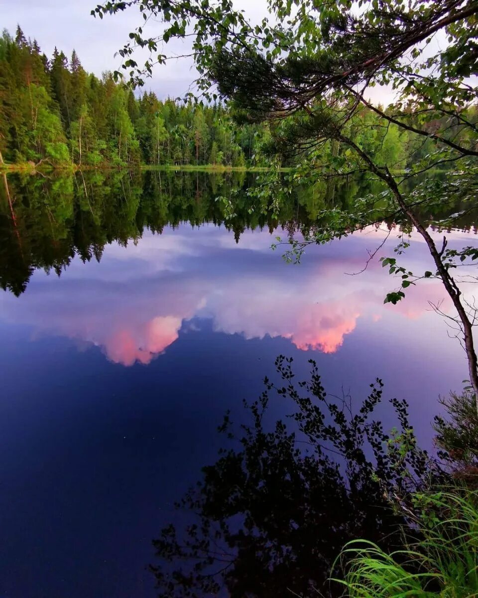 Озеро тишь Калужская область. Лесное озеро Саранск. Лесное озеро (Forest Lake). Сказочное озеро. Природа благодати