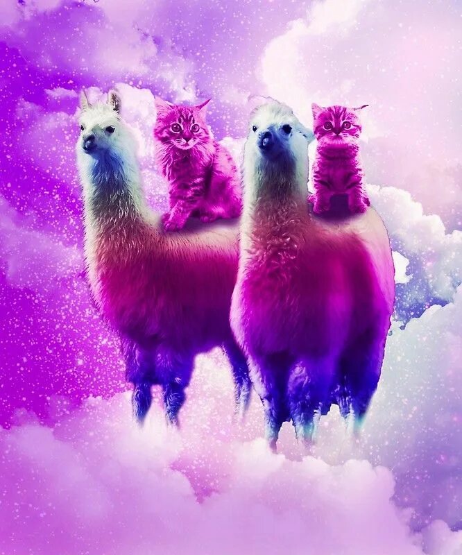 Reflection llama