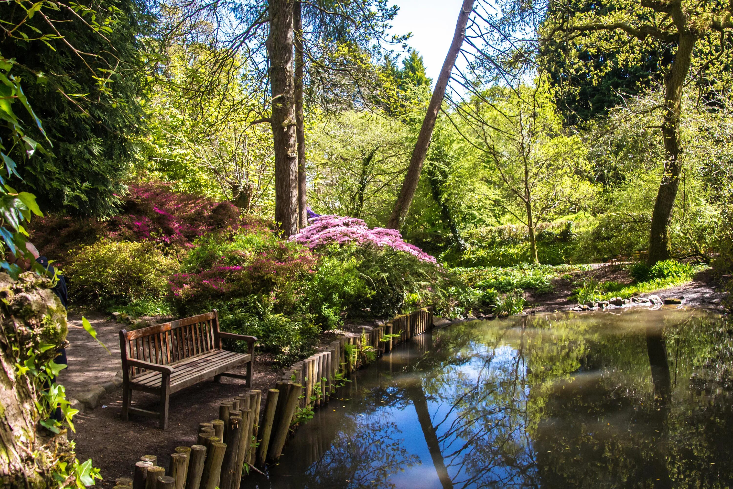 Uk parks. Природа Суонси. Раушем Англия парк. Парк лавочка Англия.