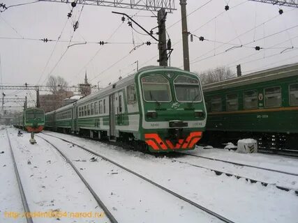Куровская черусти