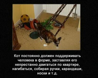 Случай про