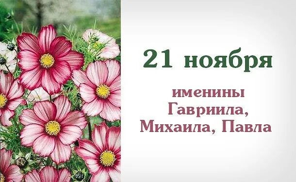 Имена 6 ноября. День ангела 21 ноября. именинники 21 ноября. 22 ноября именины. именины 21 ноября 2025.