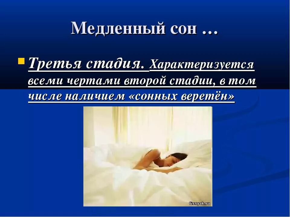 Спи 3 группа
