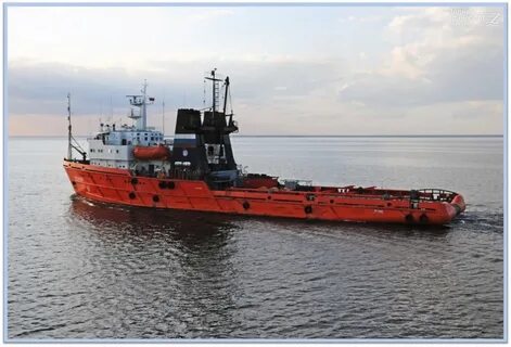 нефтегазы суда