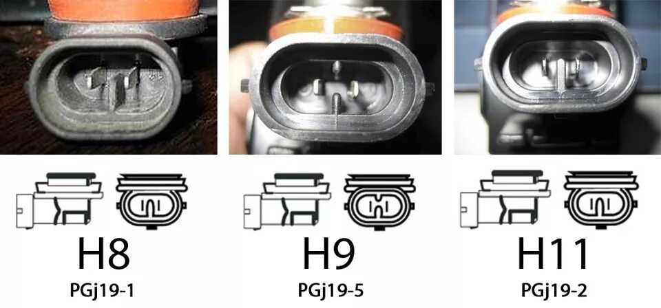 Цоколь лампы н8 и н11 отличия. Лампа h11 цоколь распиновка. Разъем лампы h8/h11. Разъем h8 h11 отличия.
