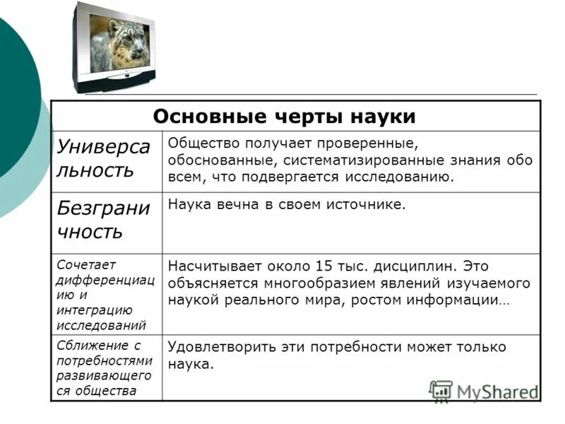 Главные особенности
