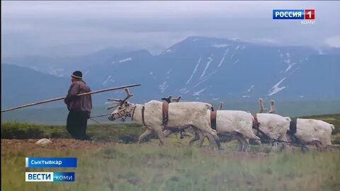 Жизнь после севера