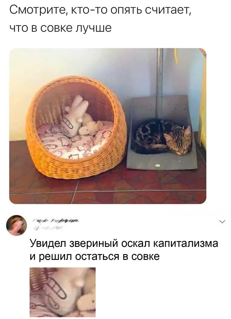 Поздравление с новым рабочим днем. Цитаты про падик. Опять считай. Считает что в совке лучше. Опять считай.