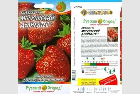 Московский деликатес описание сорта фото отзывы клубника