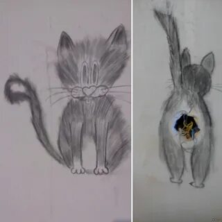 Нарисованные почему две
