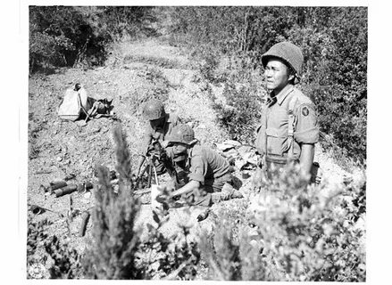 The True Story of the "Purple Heart Battalion" .