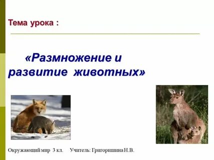 Тест окружающий мир 3 класс размножение