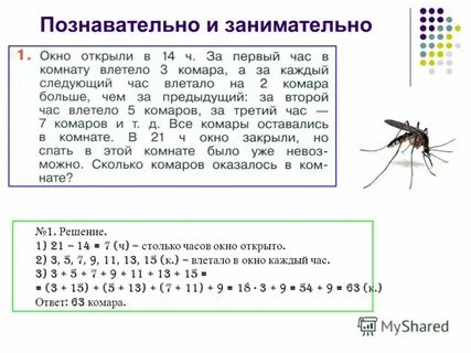 Коля разводит насекомых сейчас у него