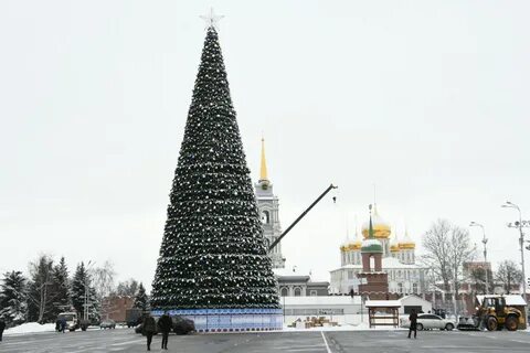 Ели в туле