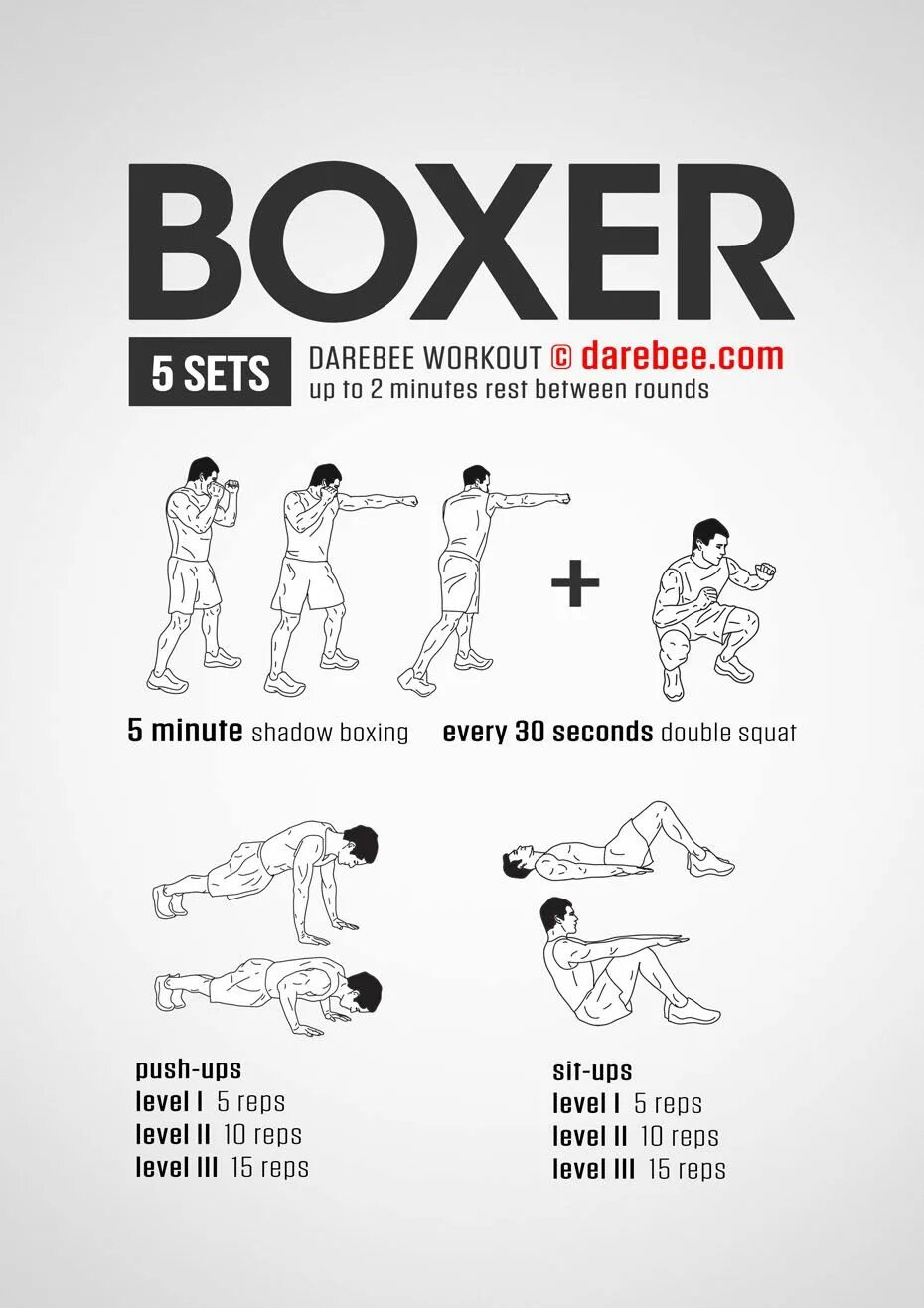 DAREBEE Boxer Workout. План тренировок бокс. План тренировки боксера. Упражнения для бокса. T me ups boxing