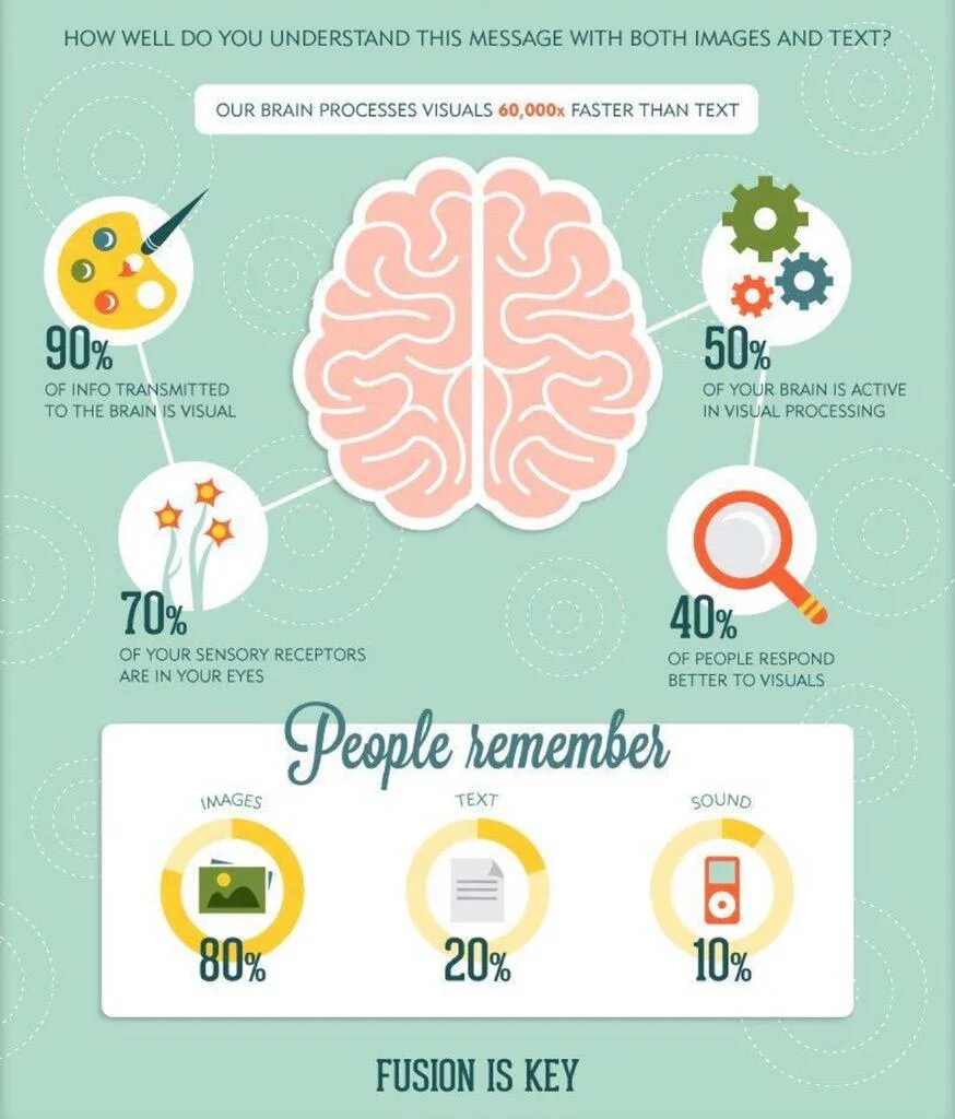 Processing brains