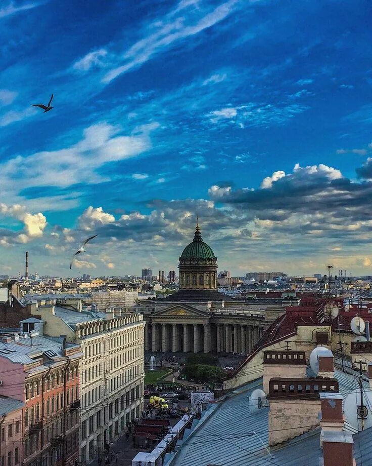 Sankt petersburg. Казанский собор в Санкт-Петербурге. Вид с Казанского собора в Санкт Петербурге. Санкт-Петербург / St. Petersburg. Питер с крыши Казанский собор.