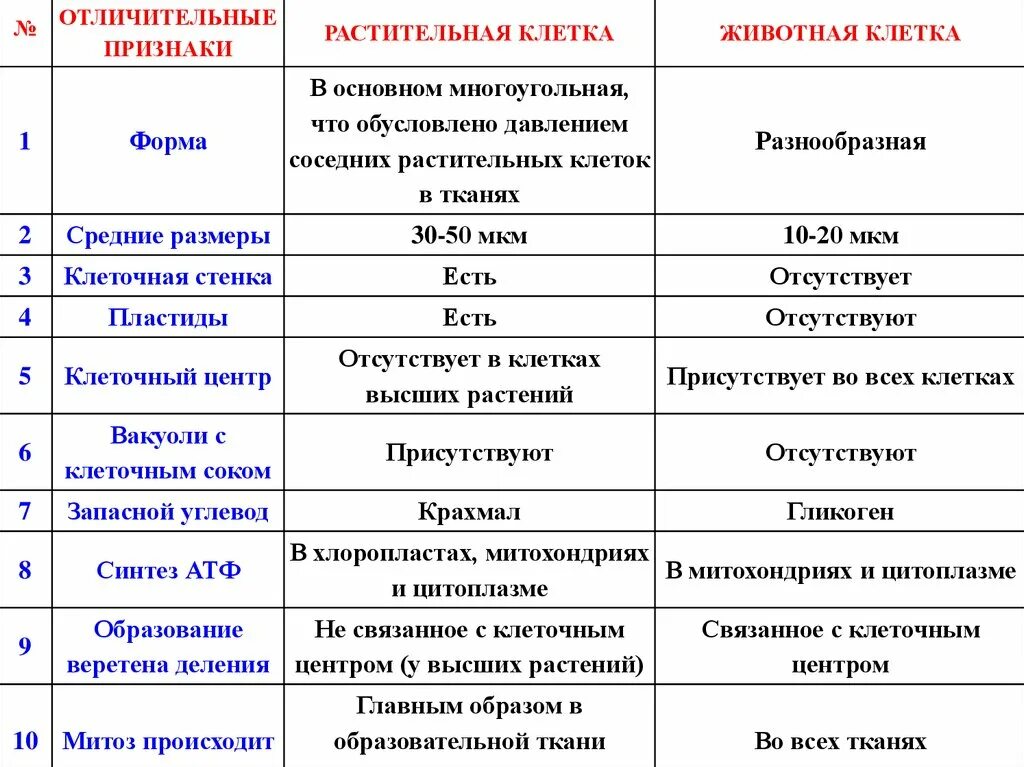 Картинки СРАВНИТЕЛЬНАЯ ТАБЛИЦА КЛЕТОК РАСТЕНИЙ ЖИВОТНЫХ