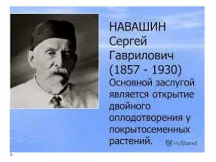 Жизнь и научная деятельность навашина