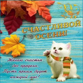 Поздравление родителям теплые
