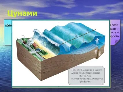 Цунами определение география
