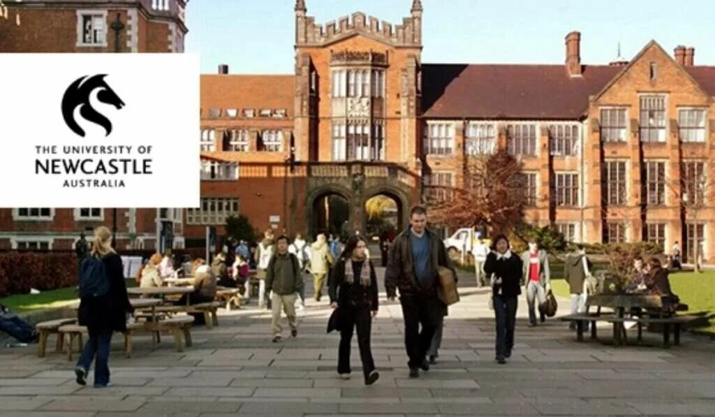 The university of problems. Ньюкасл университет. ньюкаслский университет. university of newcastle australia. newcastle university ranking.