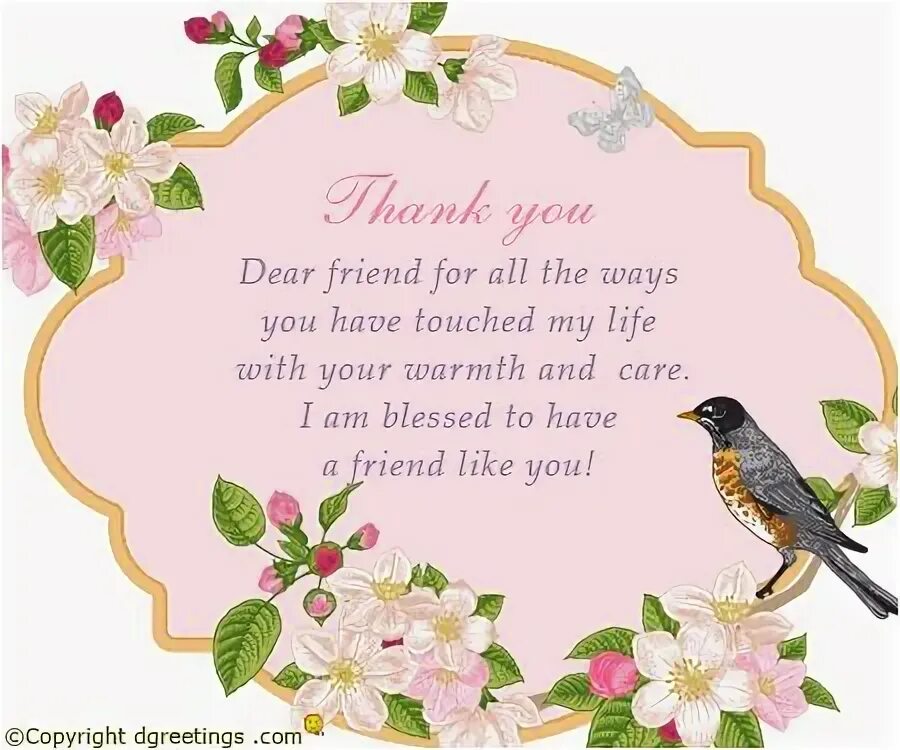 Dear friend. You my friend. Thank you my dear friend. Thank you my dear friend. You my friend.