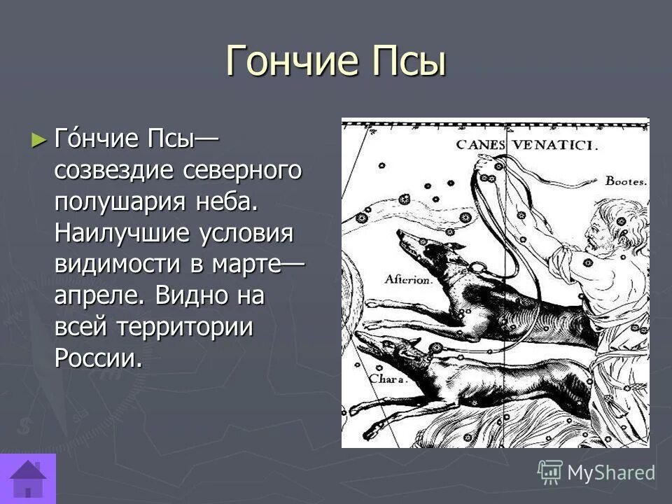 Сделайте пожалуйста в паскале рисунок созвездия Большое Пес и там надо выделить 