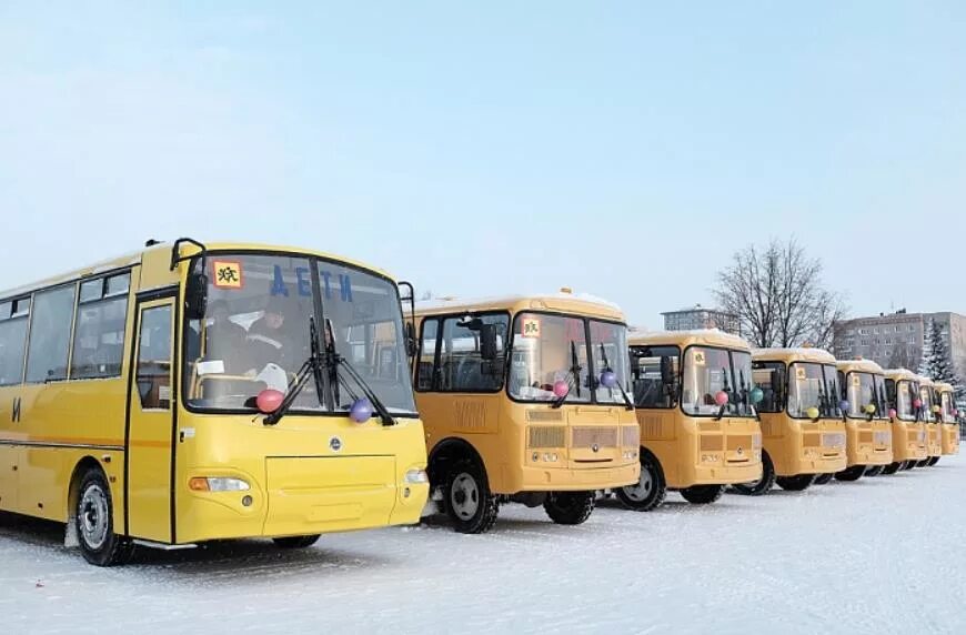 Автобус вятка. Школьные автобусы в кирове. автобусы киров. новые автобусы киров. автобусы kirovreg.