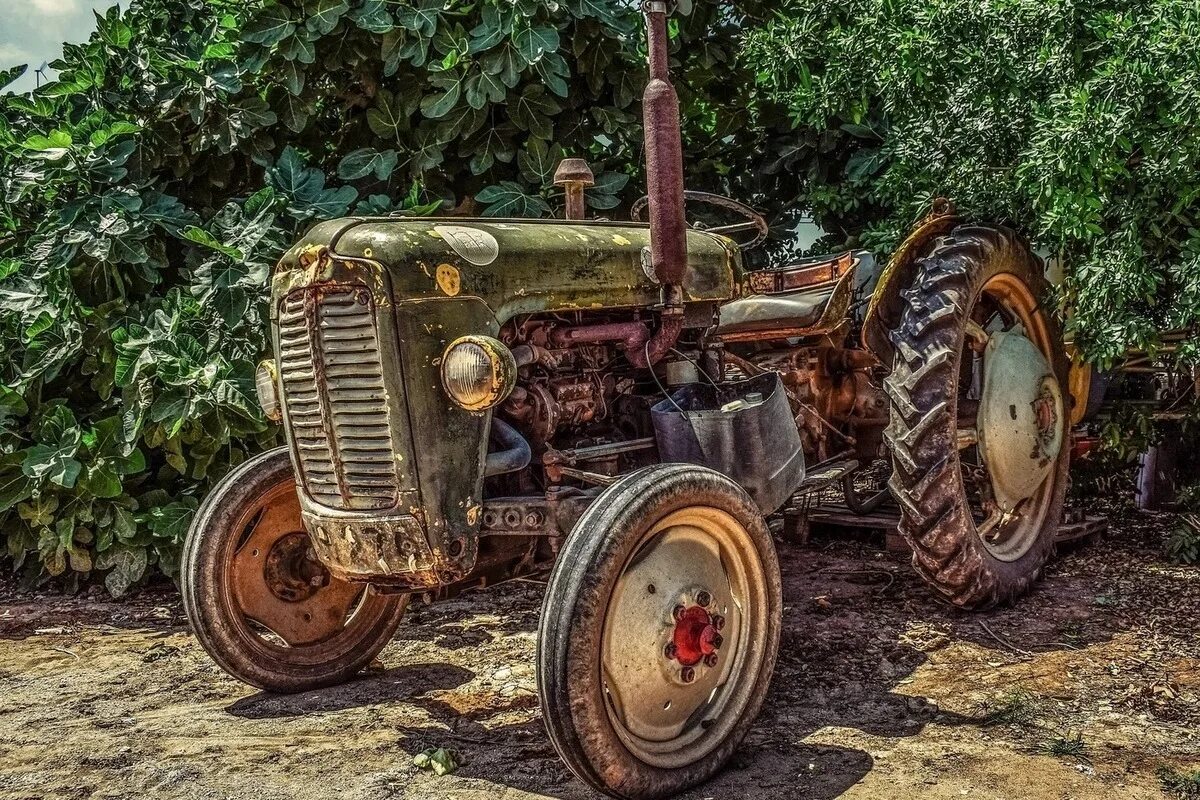 Трактор джон дир 2022. Торт с трактором для мальчика. Massey ferguson 8s 305. Трактор massey ferguson 8s. Лет трактор.