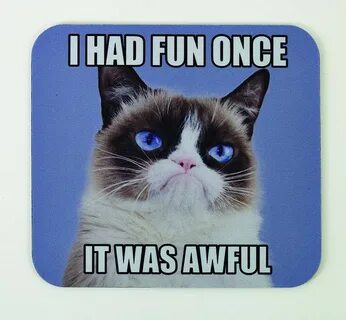 I had my fun
