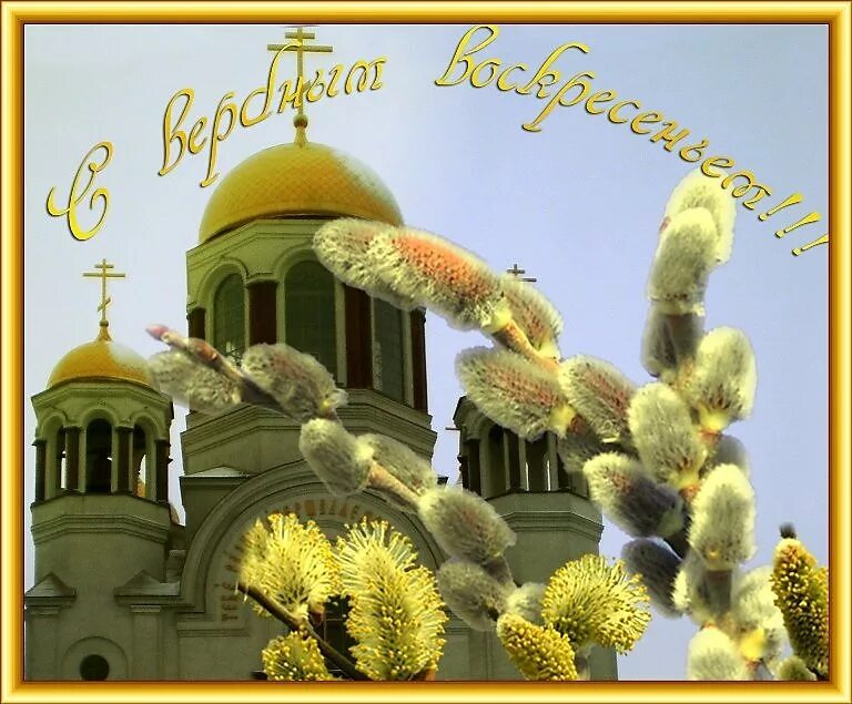Вербное вс. Верба на вербное воскресенье. верба церковь вербное воскресение. с вербным воскресеньем. сквернгое воскресенье.