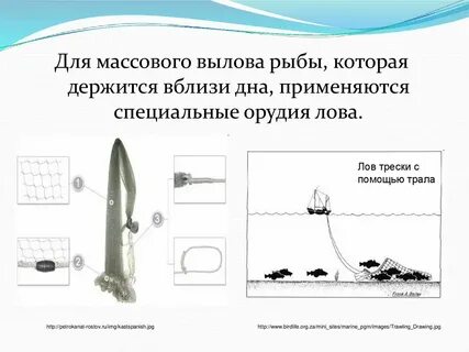 Орудия лова