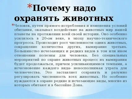 Зачем нужны животные в городе заметка