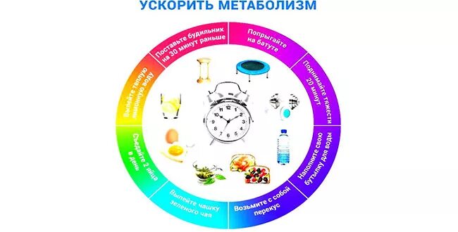 Как разогнать метаболизм в организме. Что ускоряет метаболизм. ускоритель метаболизма. ускорение обмена веществ. разогнать метаболизм.
