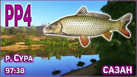 Сура 4