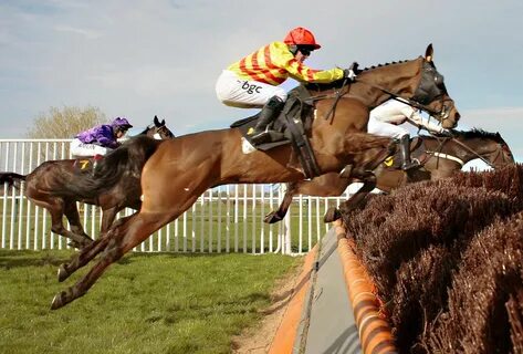3 hors