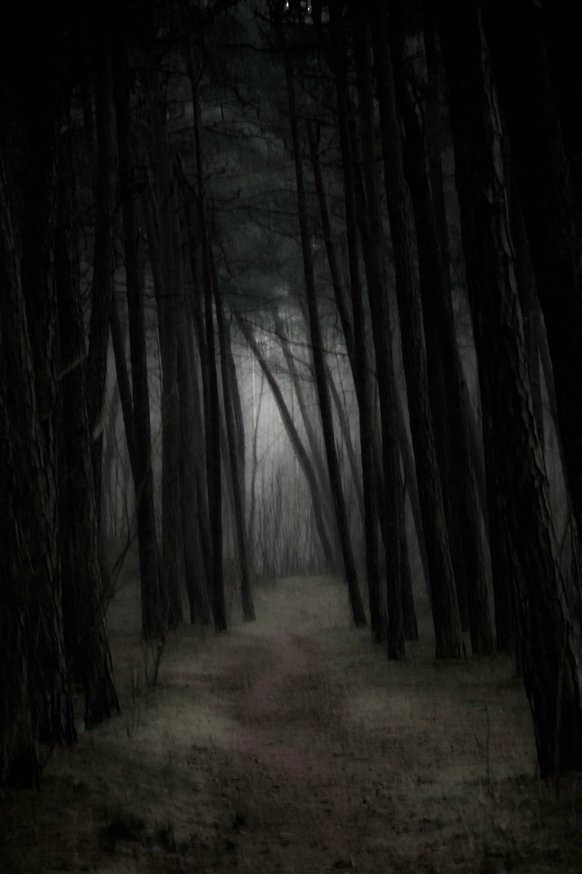 Ужасный фон. Жуткий лес. Лес тёмный мрачный. Лес темный страшный. Страшно в лесу.