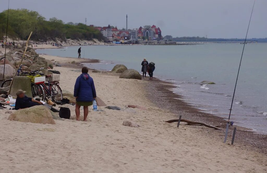 Самая точная погода в зеленоградске. Дикие пляжи Зеленоградска Калининградской области. Светлогорск дикий пляж. Зеленоградск климат. Пляж Зеленоградска 100 лет назад.