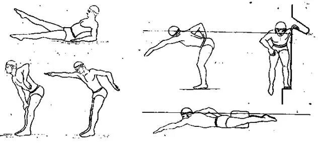 Упражнения на суше для плавания кролем. Плавание кролем на груди упражнения на суше. Кроль на спине упражнения на суше. Упражнения для пловца кролем. Плавание кролем на суше