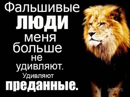 Картинки фальшивые люди