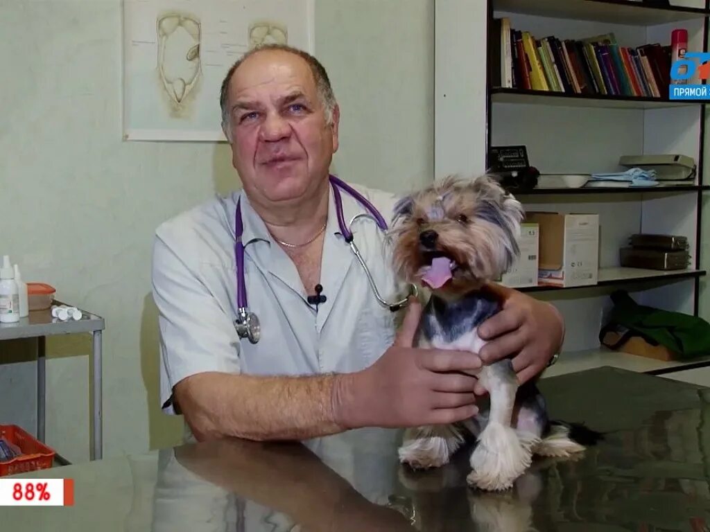 Ветеринарка южно-сахалинск ветеринары. Ветклиника сахвет южно-сахалинск. Ветеринарные клиники сахалин. Ветклиника сахвет южно-сахалинск. Хелфик южно-сахалинск ветеринарная клиника.