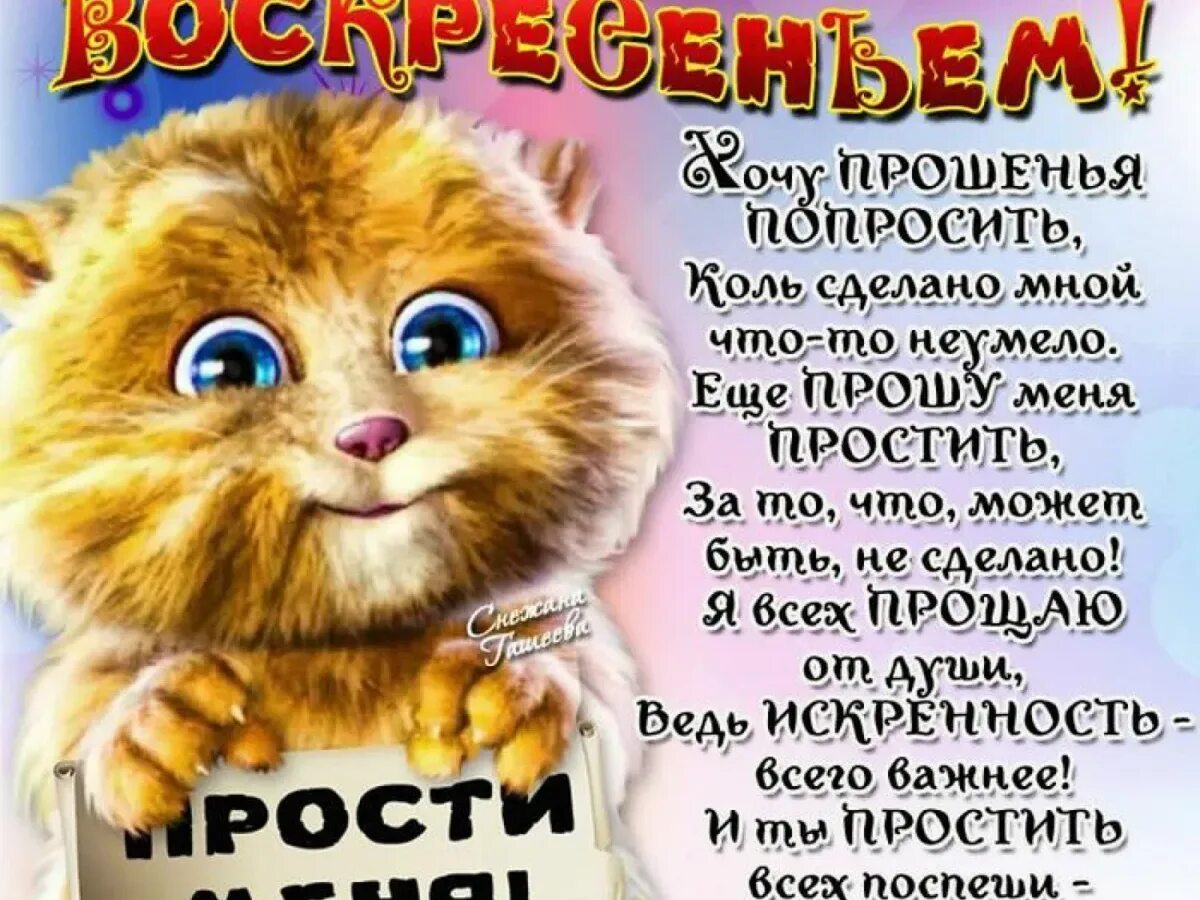 Хочу прощенья попросить