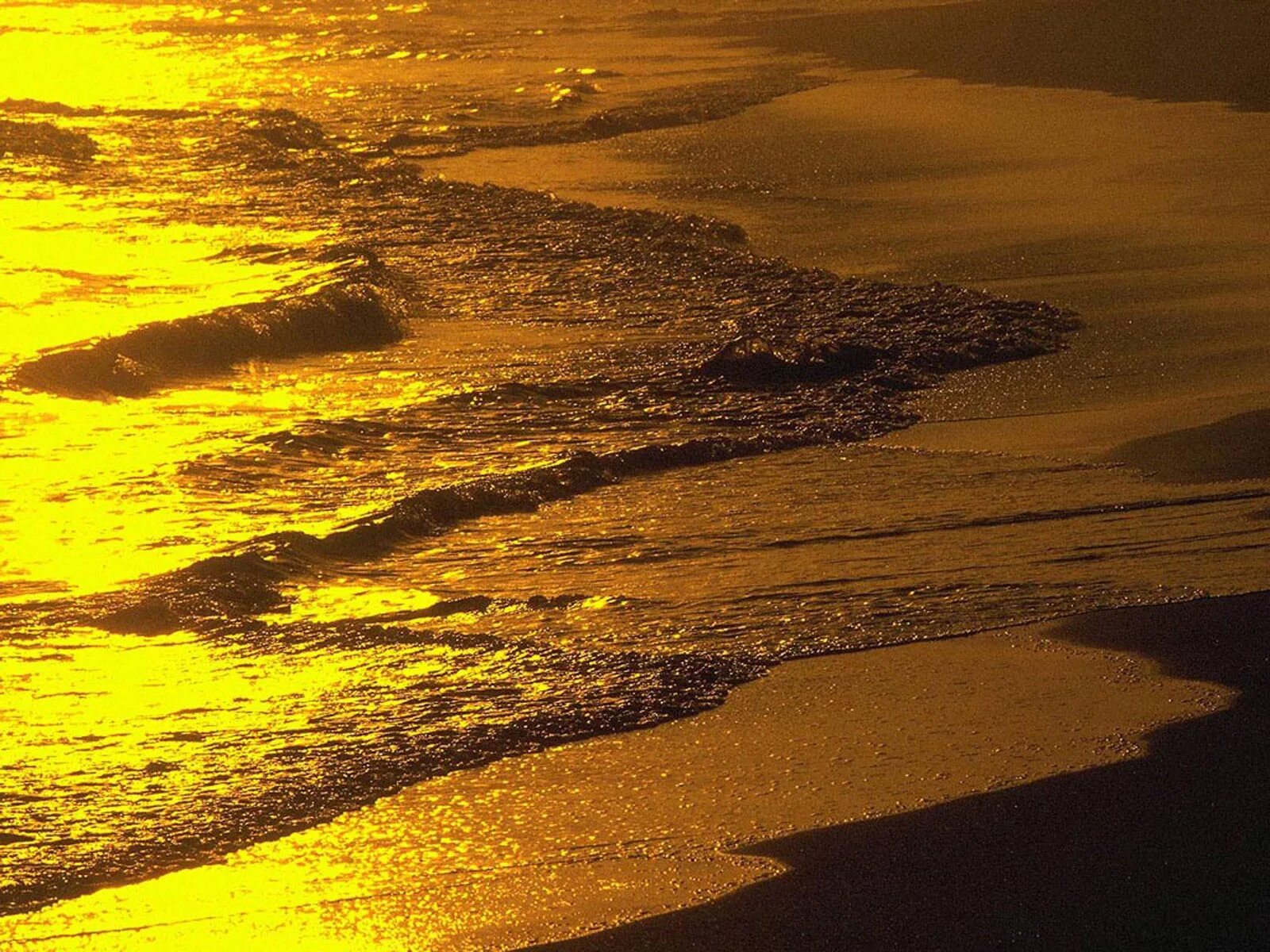 Закат золотит. Золотое море. золотой закат на море. солнечная дорожка на воде. золотистое море.