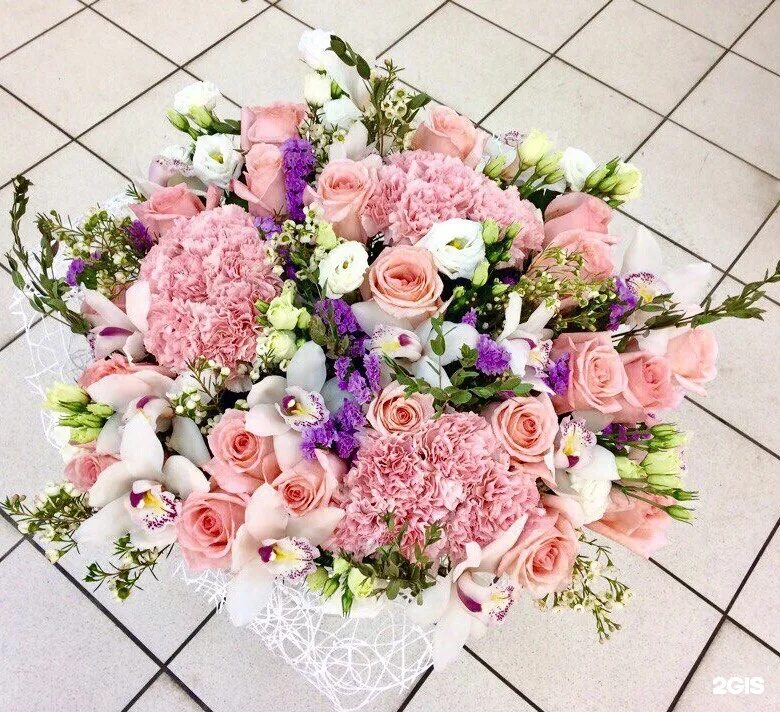 Салон цветов мурманск. Клумбы мурманска. Городские цветы на карла маркса мурманск. Городские цветы мурманск. Городские цветы мурманск.