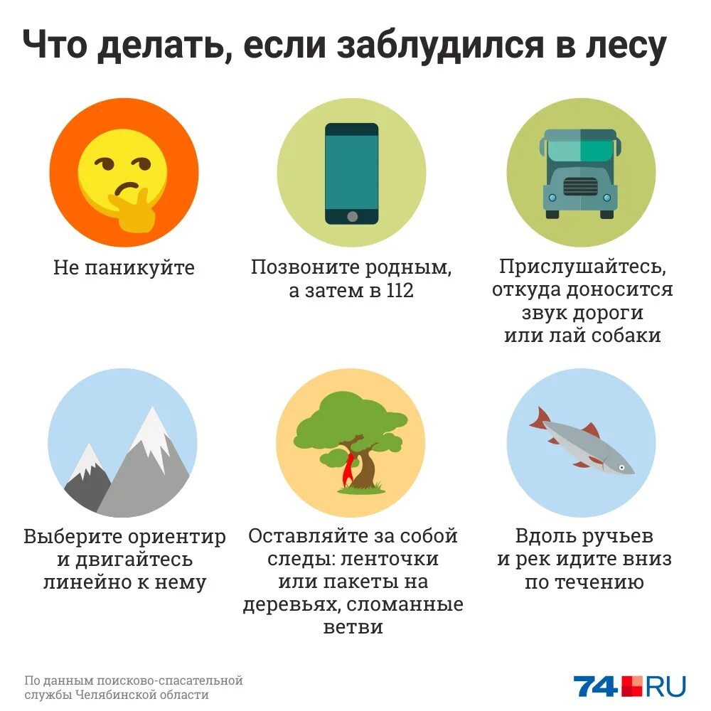 Как найти свой дом если потерялся. Памятка если заблудился в лесу. памятка если вы заблудились в лесу. памятка если ты заблудился в лесу. что делать если заблудился в лесу.