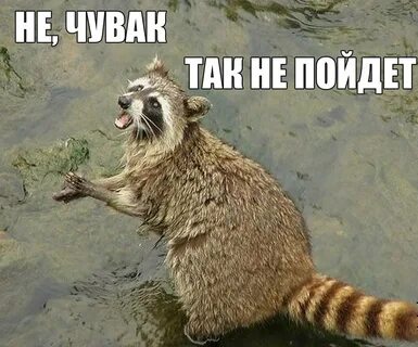 Тут глубокое